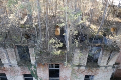 P1020390