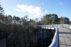 P1020391