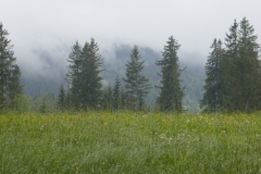 P1040697