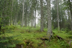 P1040703