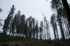 P1040741