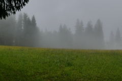 P1040793