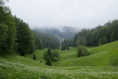 P1040814