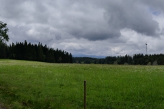 P1050008