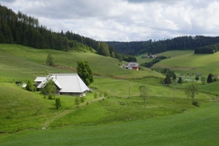P1050110