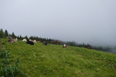 P1050317