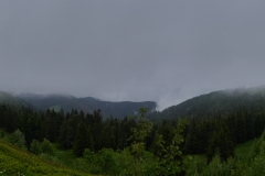 P1050352