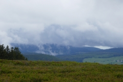 P1050411
