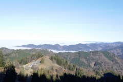 P1020124zuschnitt